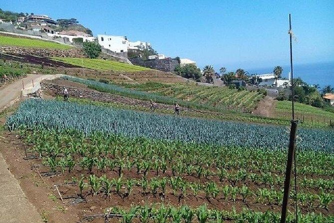 Agriculture Green Tour - Why This Tour Stands Out