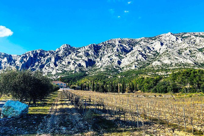 Aix-en-Provence - Mt Sainte Victoire wines in search of Cézanne - Detailed Breakdown of the Experience