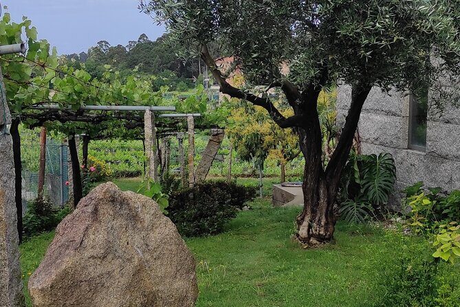 Albariño Private Sailing Wine Tour in Rias Baixas - FAQs About the Albariño Private Sailing Wine Tour
