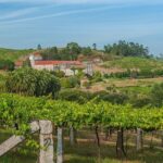 Albariño trails Private Wine Tour/Shore excursion from Vigo - Frequently Asked Questions