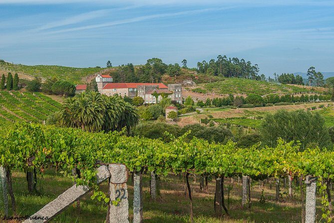 Albariño trails Private Wine Tour/Shore excursion from Vigo - Frequently Asked Questions