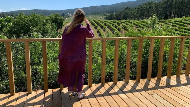 Albariño Wine Tour: Taste, Learn & Take Home a Special Gift - A Closer Look at the Albariño Wine Tour