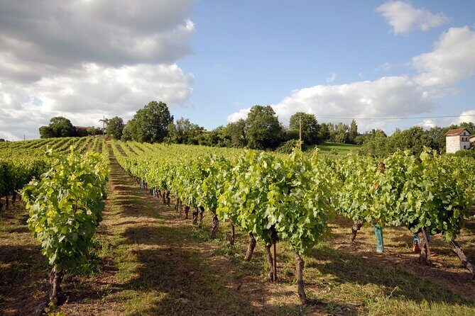 Albi, Cordes and Gaillac Day Tour from Toulouse - Who Should Consider This Tour?