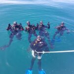 Albufeira: 2 DIVES TRIP (ONLY CERTIFIED DIVERS) - The Dive Sites: Reefs, Walls, Marine Life