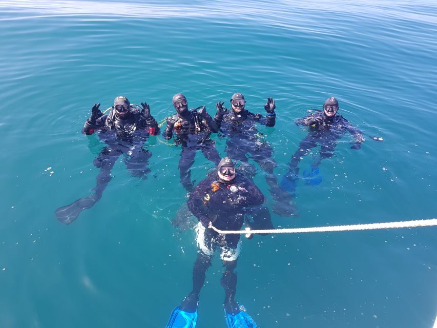 Albufeira: 2 DIVES TRIP (ONLY CERTIFIED DIVERS) - The Dive Sites: Reefs, Walls, Marine Life