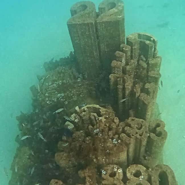Albufeira: Double Ocean Dive for Certified Divers - Why This Tour Offers Great Value
