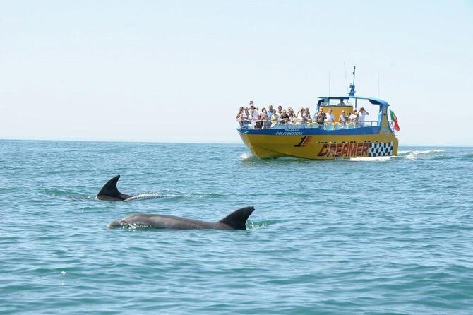 Albufeira Dreamer Boat Trip - Considering the Price: Is it Good Value?