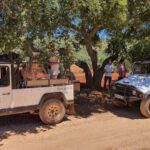 Albufeira: Full Day Safari Excursion in Algarve Mountains - What Travelers Say