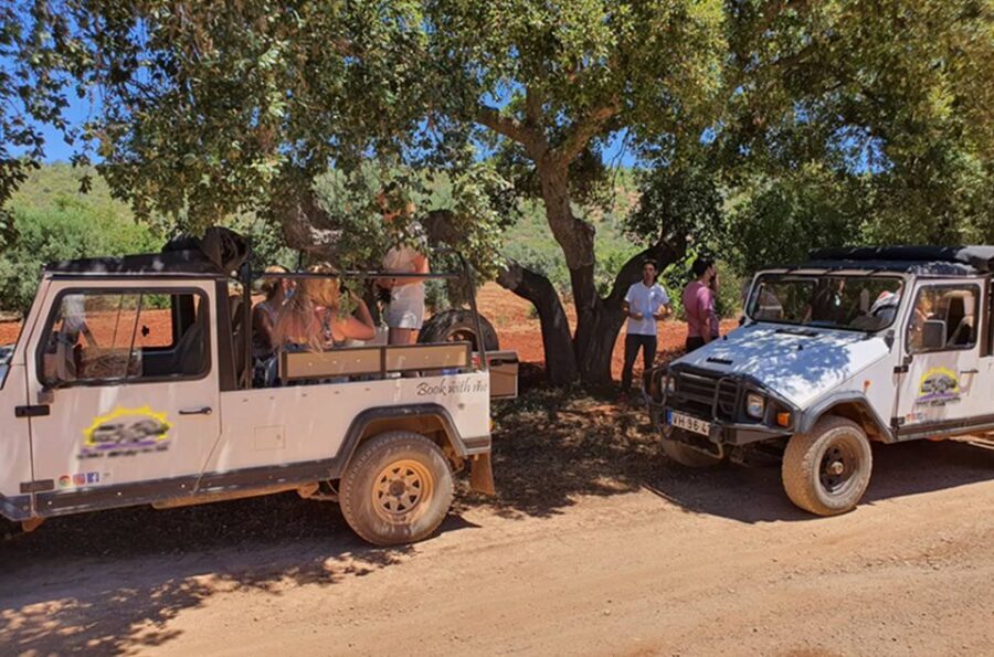 Albufeira: Full Day Safari Excursion in Algarve Mountains - What Travelers Say