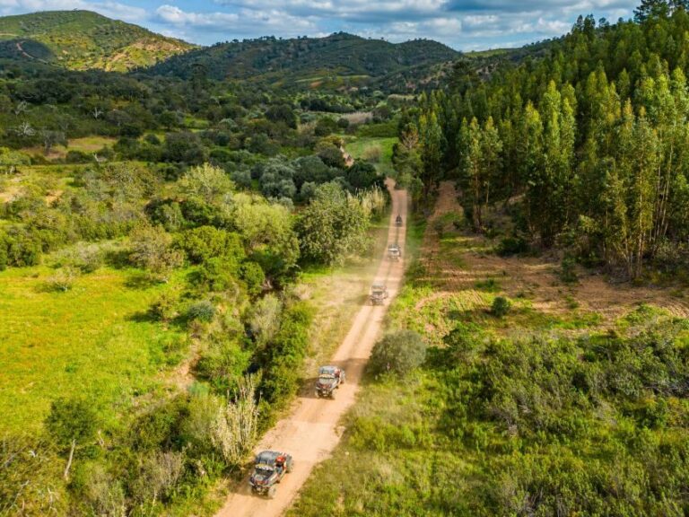 Albufeira: Off-Road Buggy Adventure - A Genuine Look at the Albufeira Off-Road Buggy Experience