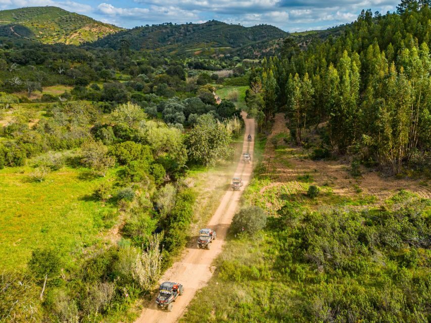 Albufeira: Off-Road Buggy Adventure - A Genuine Look at the Albufeira Off-Road Buggy Experience