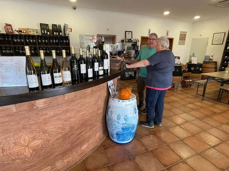 Albufeira, Olhão, Faro: visit to a vineyard, free time in Silves - Final Thoughts: Is This Tour Worth It?