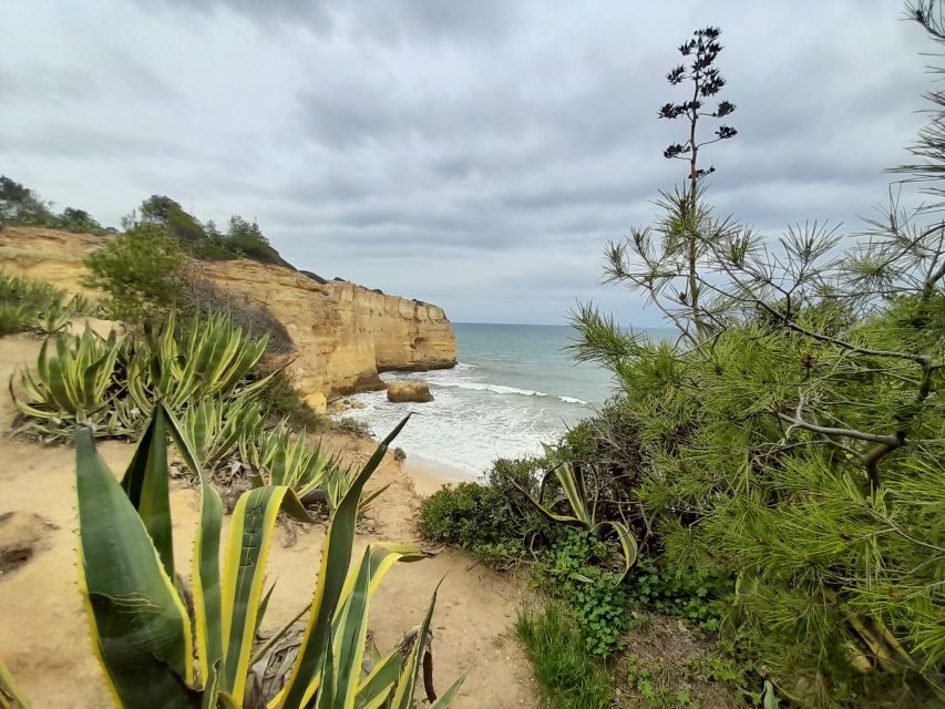 Albufeira: Silves Castle, Marinha Beach, and Benagil - A Closer Look at the Tour Experience