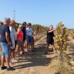 Albufeira/Vilamoura: Winery Tour with Wine Tasting and Tapas - Who Should Consider This Tour?