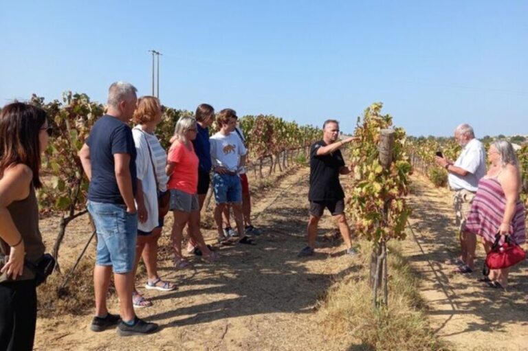 Albufeira/Vilamoura: Winery Tour with Wine Tasting and Tapas - Who Should Consider This Tour?