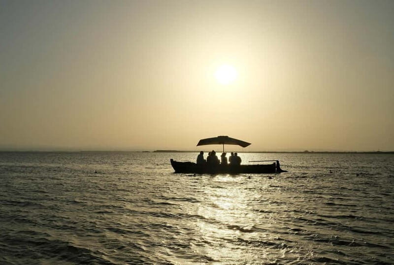Albufera Bike Adventure: Wetlands, Beaches & Biodiversity - Who Should Consider This Tour?