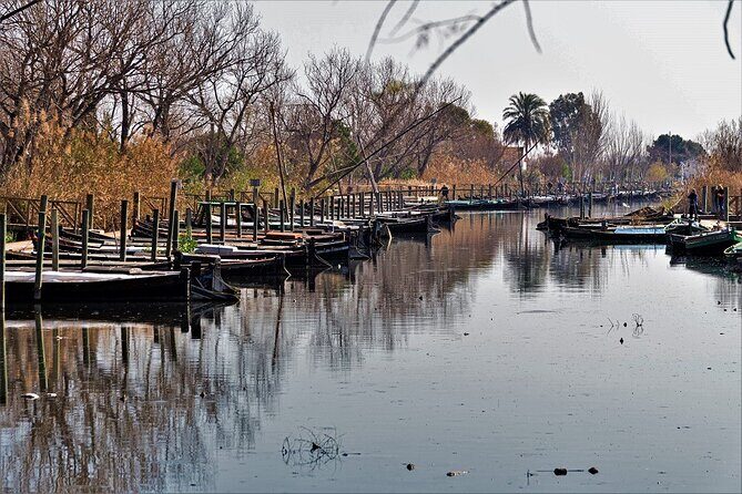 Albufera: Lake, Paella and Birdwatching - The Value of the Experience