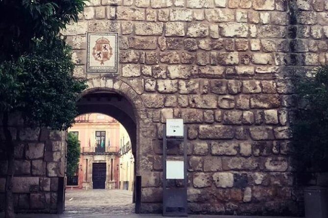 Alcazar, Cathedral And Santa Cruz Private Tour - Who Would Love This Tour?