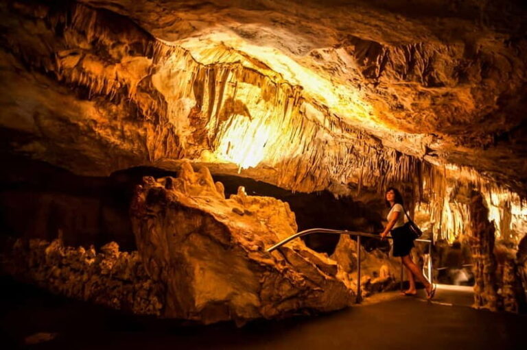 Alcudia: Caves of Drach Tour from the North with Boat Trip - The Experience in Detail