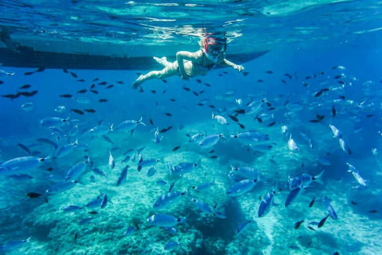 Alcudia: Formentor Beach, Lighthouse Cruise, and Small Group - FAQs