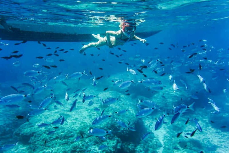 Alcudia: Formentor Beach, Lighthouse Cruise, and Small Group - FAQs