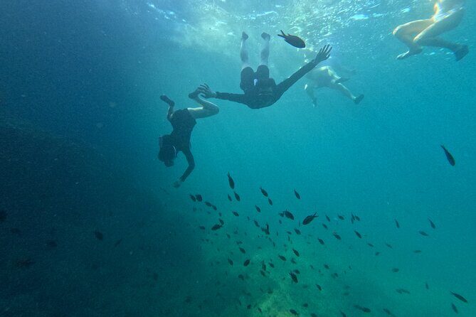 Alcudia: Guided Sea Kayaking & snorkelling Tour (day & sunset) - FAQ