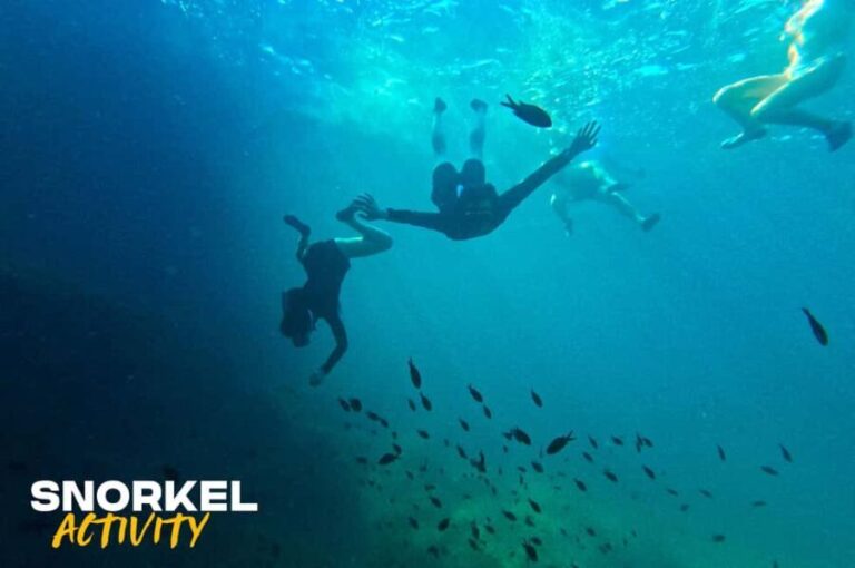 Alcudia: Kayaking Tour with Snorkel & Sea Cave Swim - Itinerary Breakdown