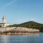 Alcudia or Can Picafort: Dolphin-Watching Cruise - An In-Depth Look at the Dolphin-Watching Cruise Experience