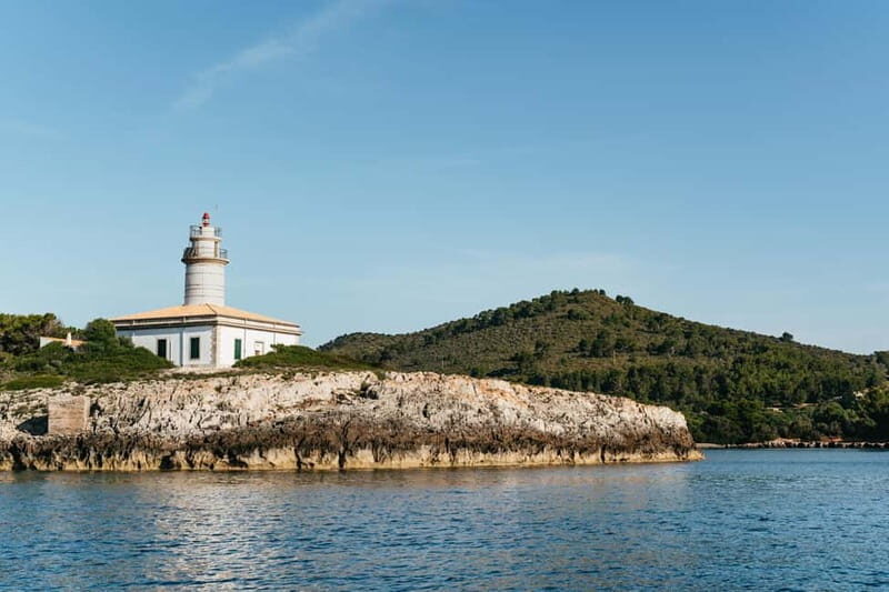 Alcudia or Can Picafort: Dolphin-Watching Cruise - An In-Depth Look at the Dolphin-Watching Cruise Experience