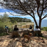 Algarve: 7 Seven Hanging Valley Hike Tour- Photos & Transfer - Detailed Breakdown of Each Stop