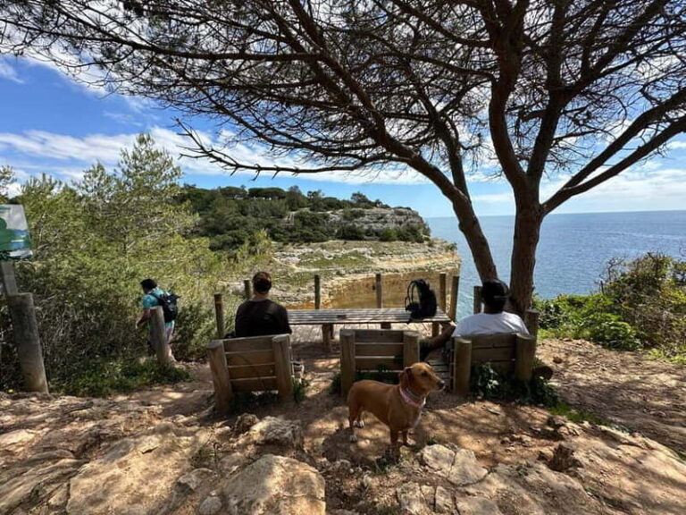 Algarve: 7 Seven Hanging Valley Hike Tour- Photos & Transfer - Detailed Breakdown of Each Stop