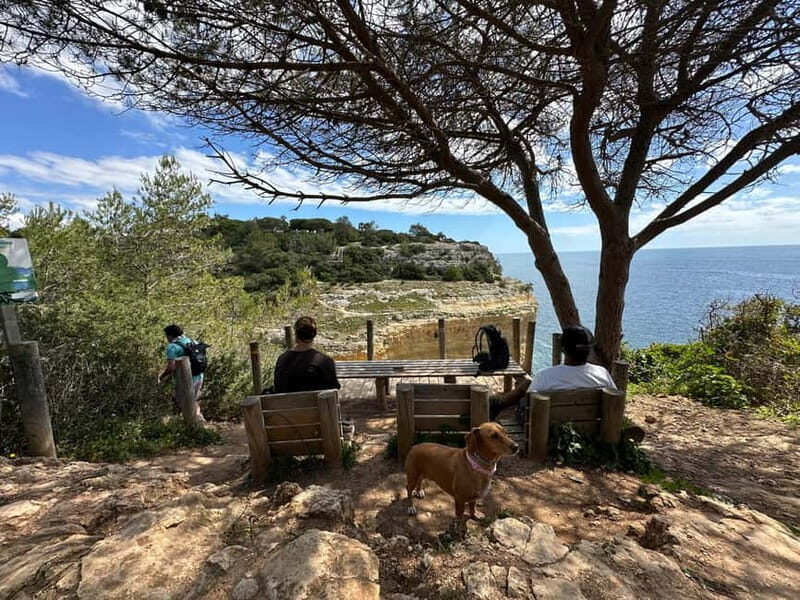 Algarve: 7 Seven Hanging Valley Hike Tour- Photos & Transfer - Detailed Breakdown of Each Stop