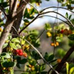 Algarve a la Carte - Final Thoughts