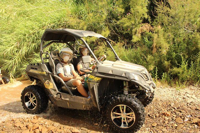 Algarve Buggy Tours - The Ride into the Heart of Algarve: What to Expect