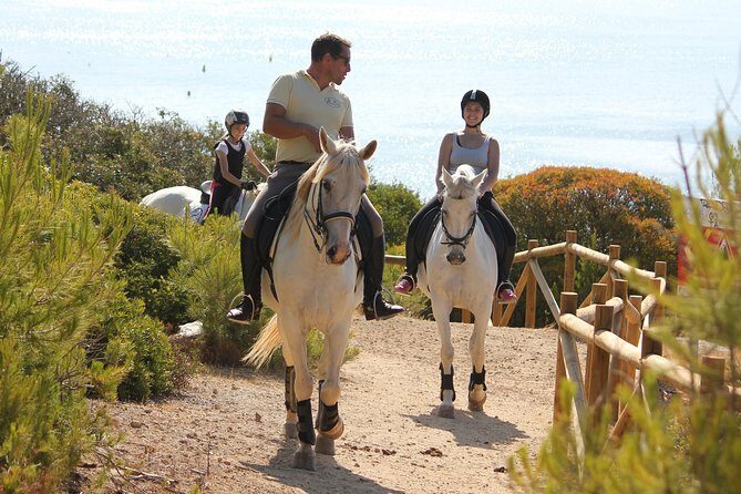Algarve - Exclusive horseriding in Portimao (no experience required) - Practical Details and Considerations