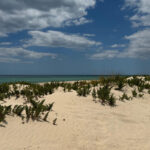 Algarve, Lisbon; V.I.P. Women's road trip with female guide - Who Will Love This Tour?