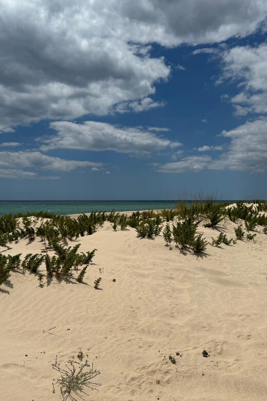Algarve, Lisbon; V.I.P. Women's road trip with female guide - Who Will Love This Tour?