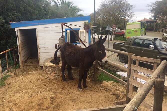 Algarve Mountains & Villages - Half Day Jeep Safari Trip - A Deep Dive into the Algarve Mountains & Villages Jeep Safari