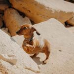 Algarve: Private Vacation Photoshoot with a Local - The Experience: What to Expect When Booking a Photoshoot in the Algarve