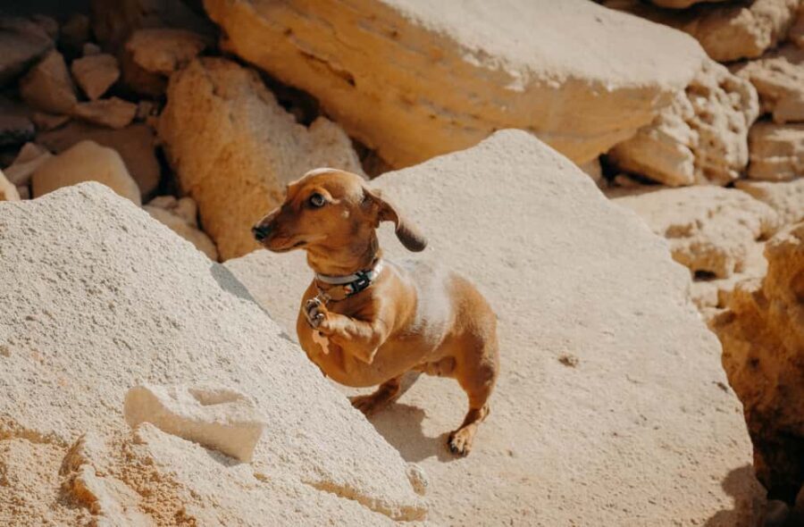 Algarve: Private Vacation Photoshoot with a Local - The Experience: What to Expect When Booking a Photoshoot in the Algarve