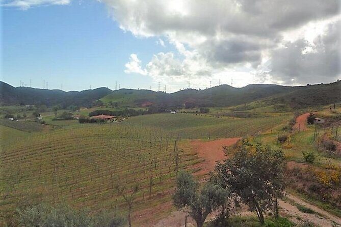 Algarve wine tour and farmer's lunch at wine estate - FAQ