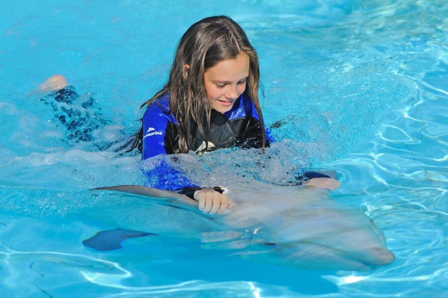 Algarve Zoomarine Ticket and Dolphin Emotions Experience - Why We Think This Experience Delivers Good Value