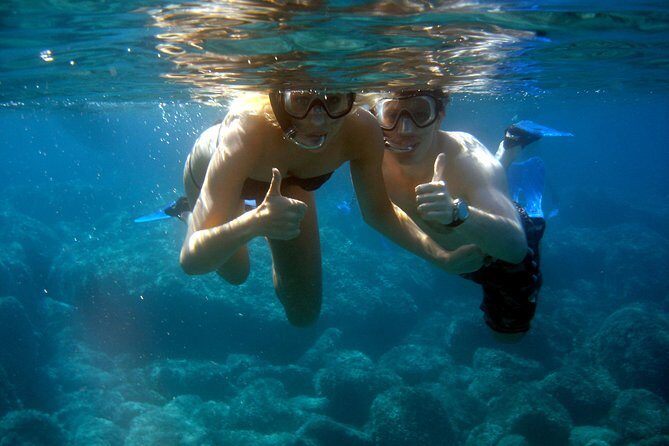 Alghero - Dolphin Watching and Guided Snorkeling (summer tour) - Who Would Love This Tour?