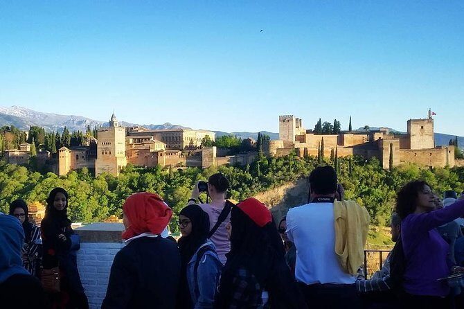 Alhambra &Charles Palace Guided Tour with Optional Nasrid Palaces - Who Should Consider This Tour?