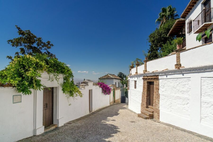 Alhambra, Nasrid Palaces and Albaicin Tour - A Detailed Look at the Tour Experience