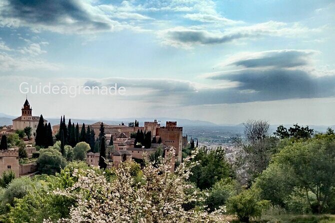 Alhambra Private Tour: Nasrid Palaces and Generalife - Final Thoughts: Is It Worth It?