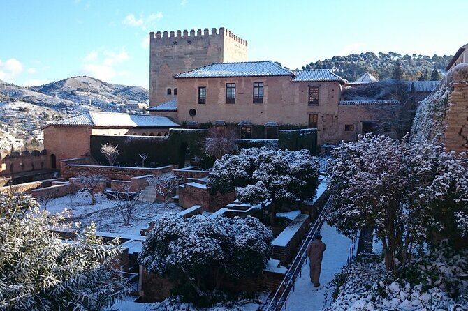 Alhambra private tour with tickets - Exploring the Heart of Granada: An In-Depth Review