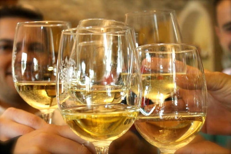 Alicante: Countryside Wine Tour with 4 Tastings - A Deep Dive into the Alicante Countryside Wine Tour