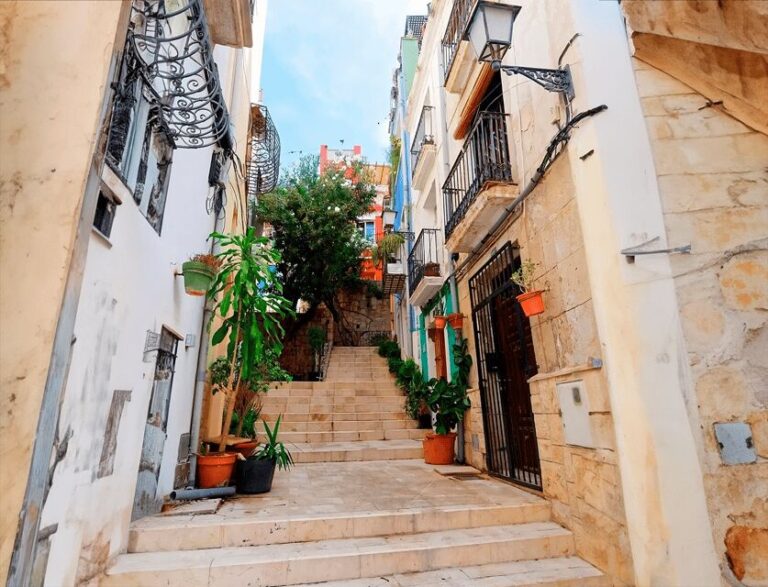Alicante: E-Bike & Walk, Old Town Santacruz, Basilica - The Practical Side: What’s Included and What to Prepare