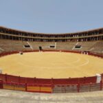 Alicante: Private Guided Visit to Alicante Bullring & Museum - The Museum: Digging Into the Past